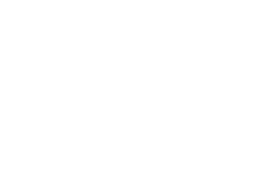 New Brand — Partner Brand